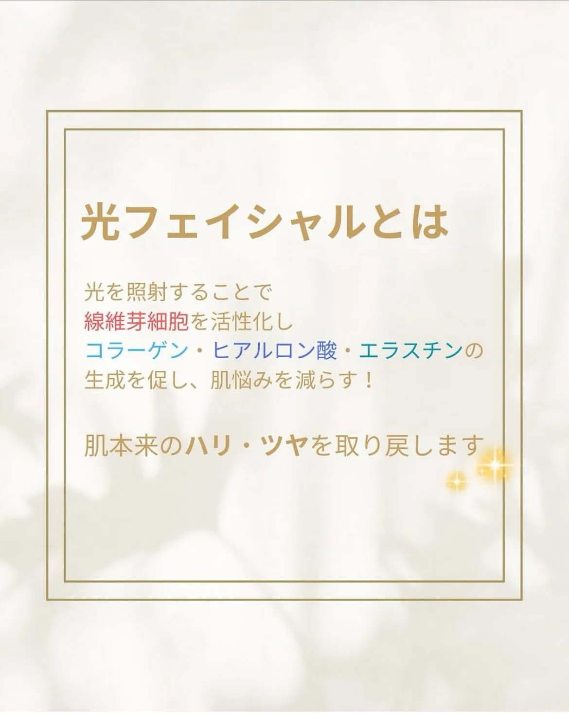 おはようございます☀