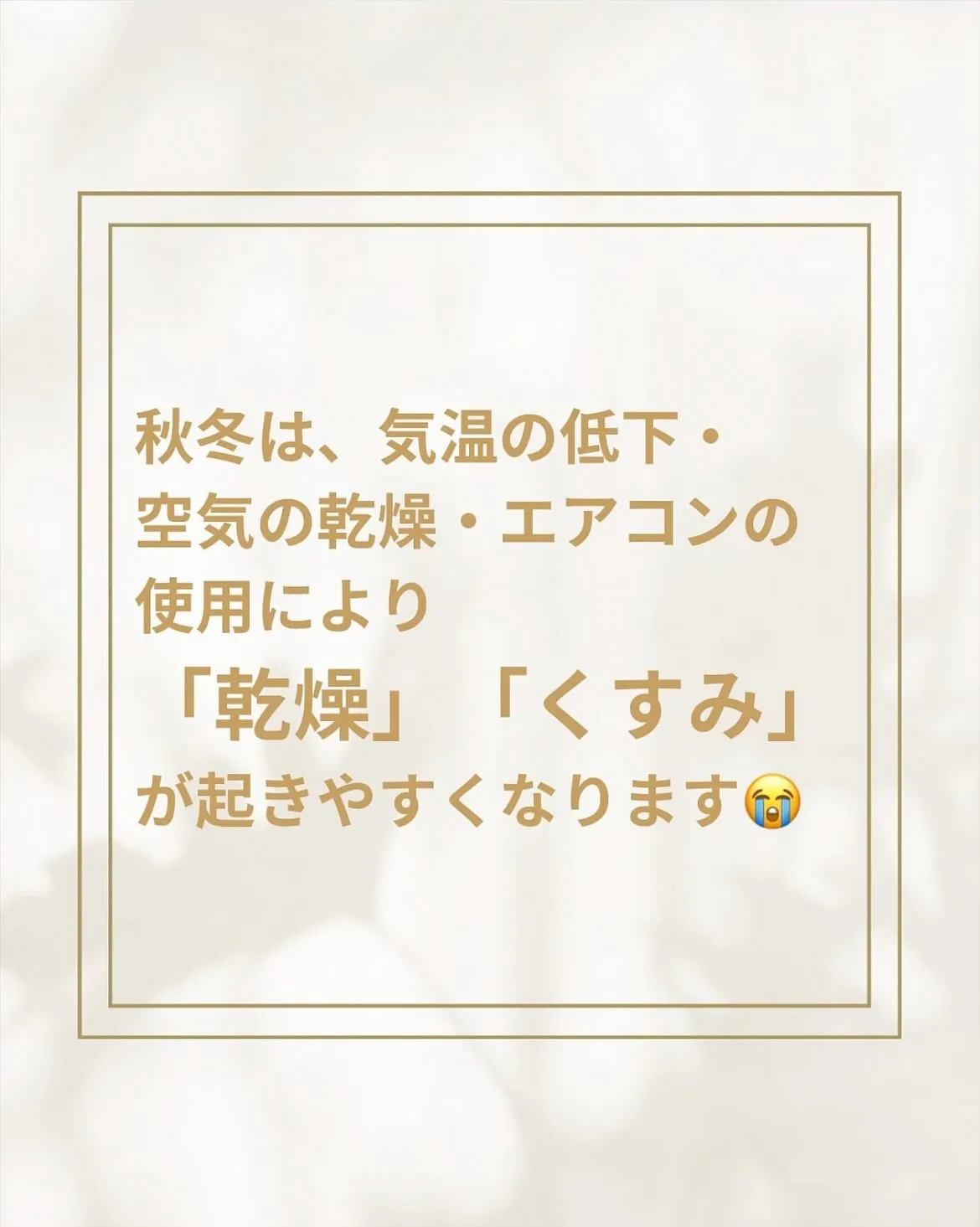 秋は乾燥シーズン🍂