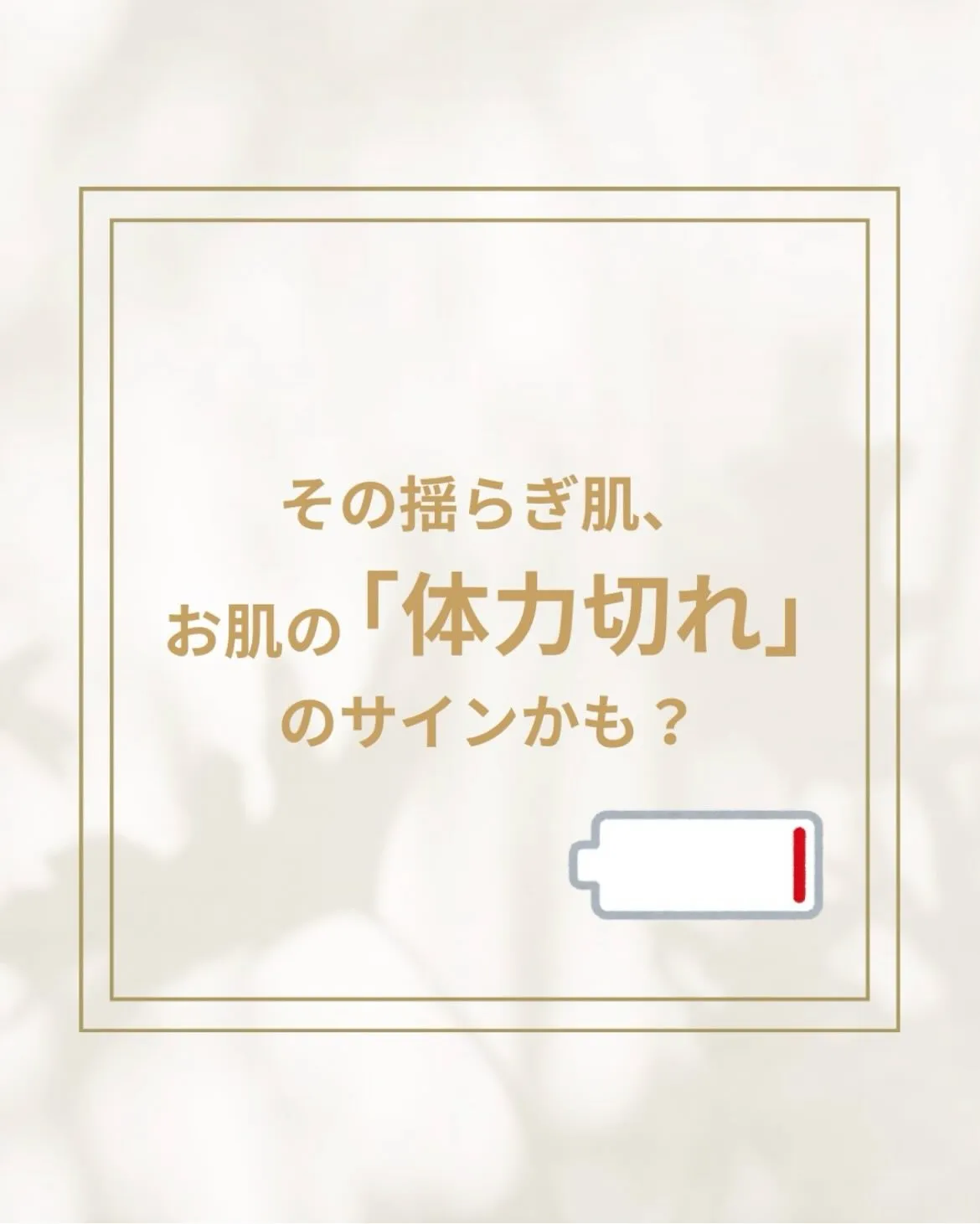 大人気✨洗顔&クレンジング再入荷しました👏