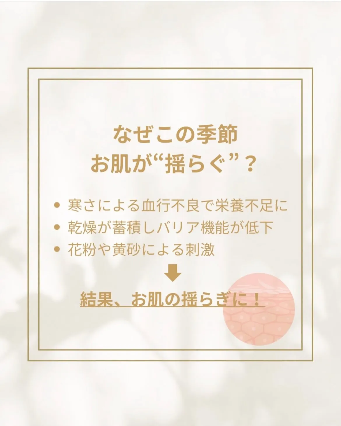 大人気✨洗顔&クレンジング再入荷しました👏